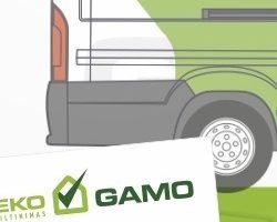 Gamo