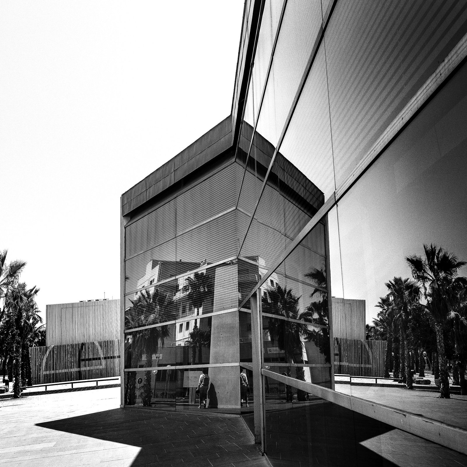 Fotografija Atspindžiai