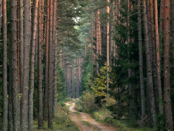 Photography “Geriau nebūna”