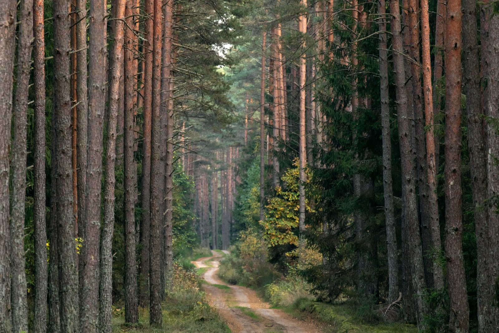 Fotografija Geriau nebūna