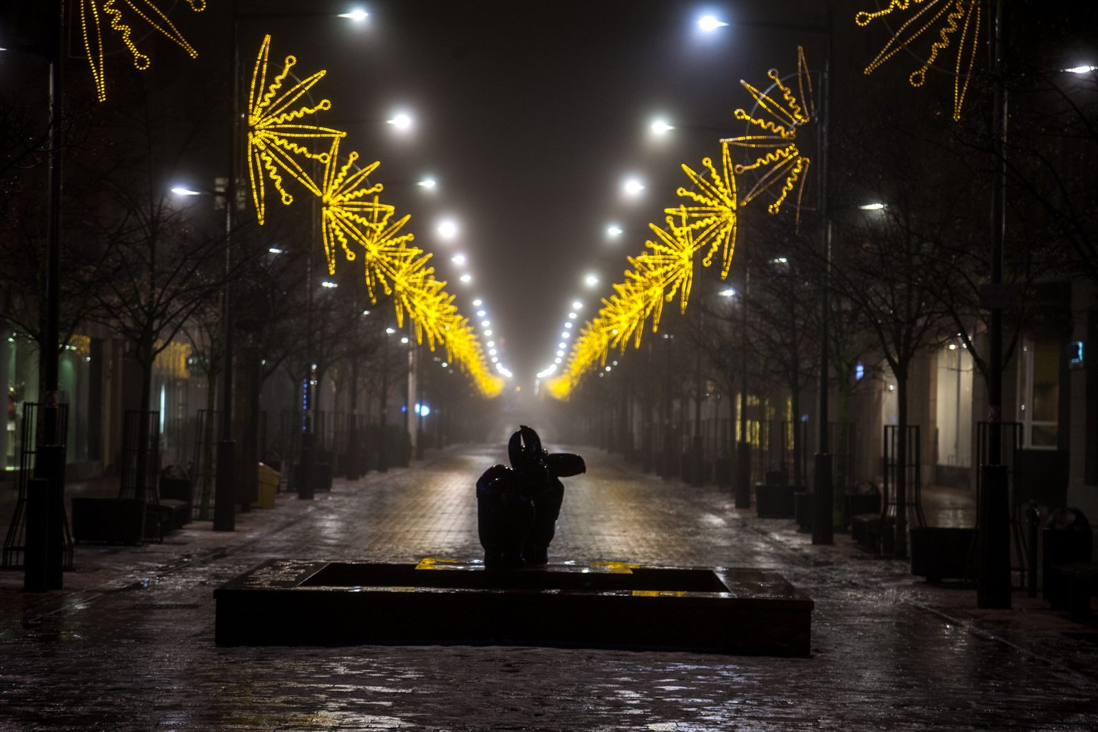 Fotografija Laukti ilgu