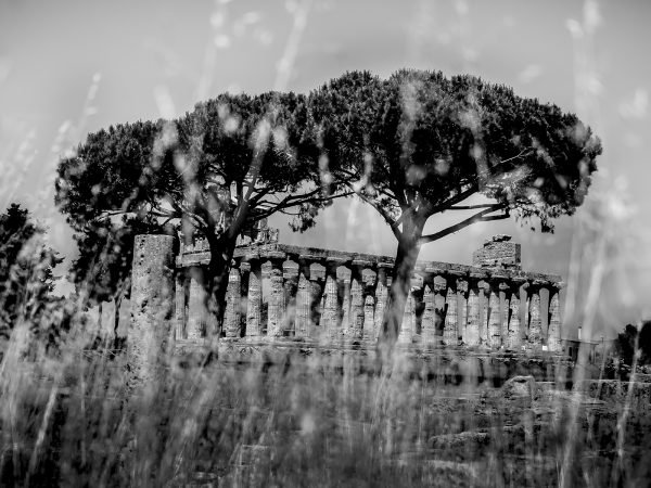 Fotografija Paestum