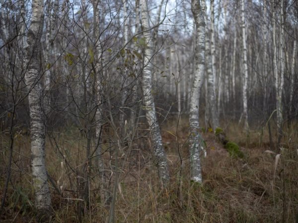 Photography “Paverk ir tu”