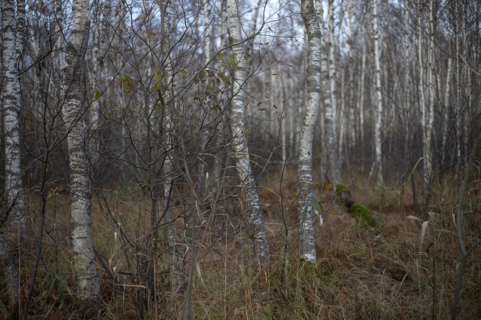 Fotografija Paverk ir tu