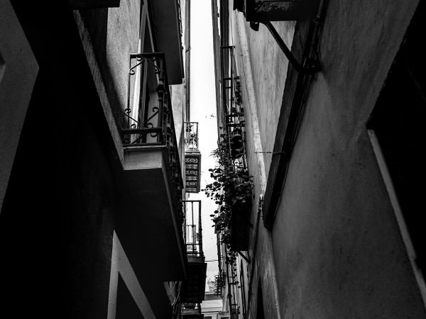 Fotografija Siaurai