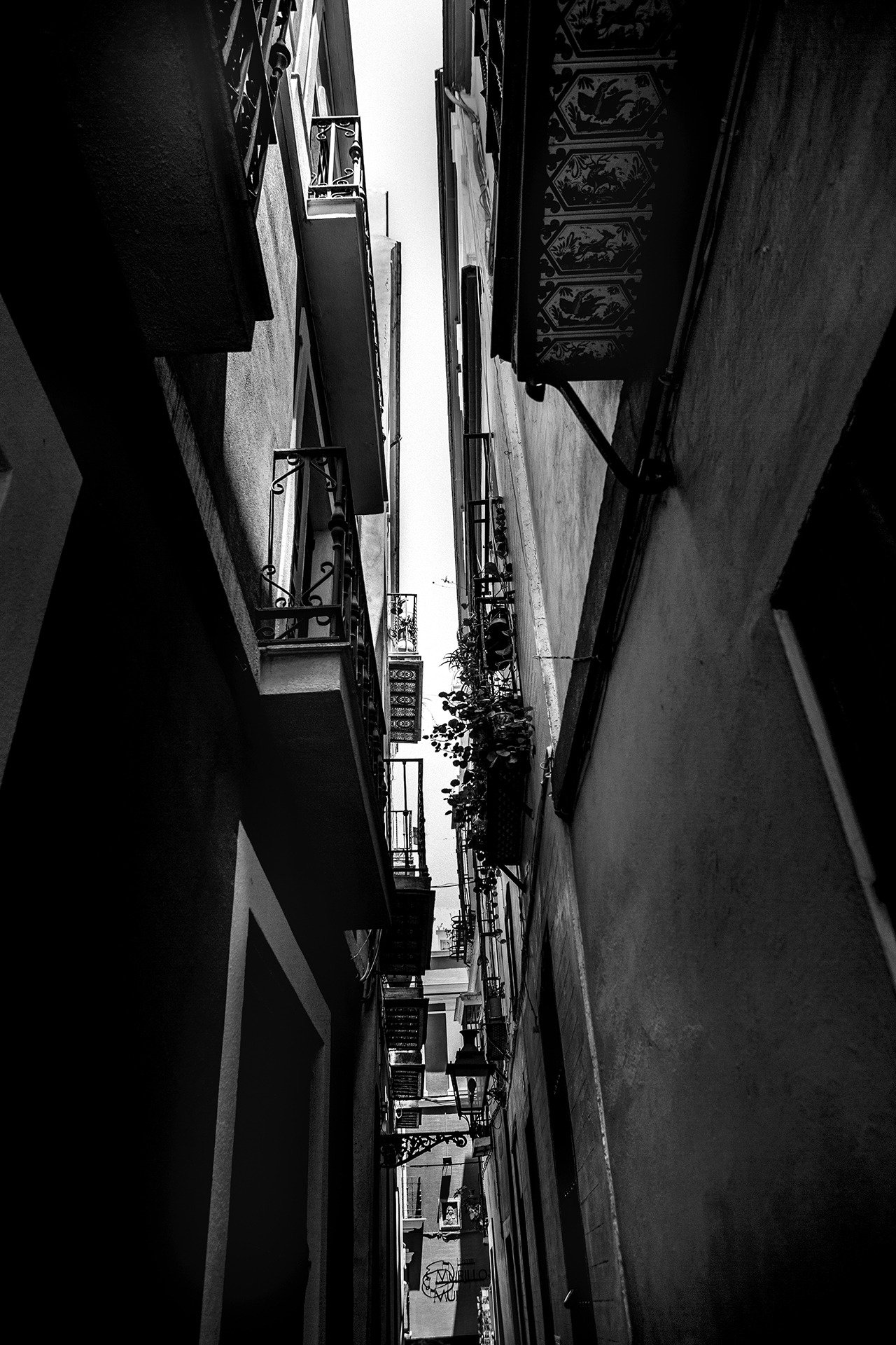 Fotografija Siaurai